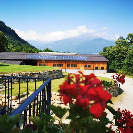 Agriturismo La Ca' D'Amelio Lessolo Exteriör bild