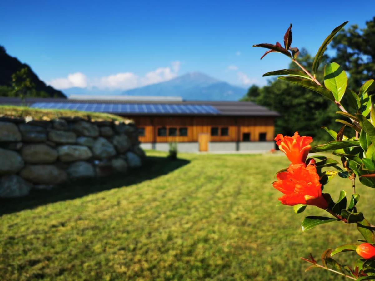 Agriturismo La Ca' D'Amelio Lessolo Exteriör bild